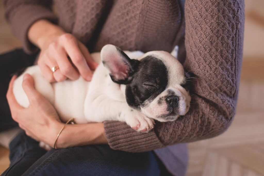 体臭サプリを使った女性のペット飼っていて匂い混ざる対策は？