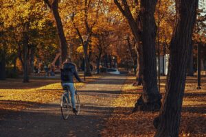 体臭が気になる女性が夫にバレずに買いたいサプリは？