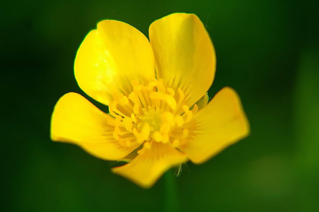体臭をゼロにするために効果的な食べ物は？