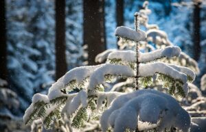 体臭を改善するサプリの効果はどれくらいの期間で実感できる？