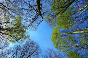 体臭ゼロのための方法とその違いは？